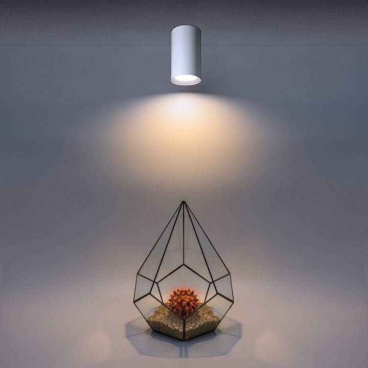 Накладной светильник Wolta BASIC WSL-GU10 WSL-GU10/01W