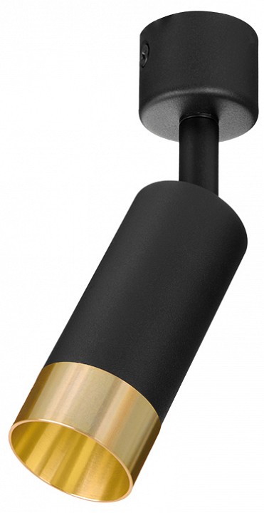 Светильник на штанге Wolta Petite WSL-MR11/S15BG