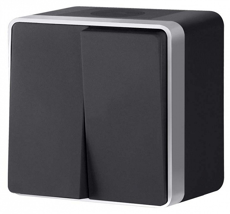 Выключатель двухклавишный влагозащищенный Werkel Gallant (черный с серебром) W5020234