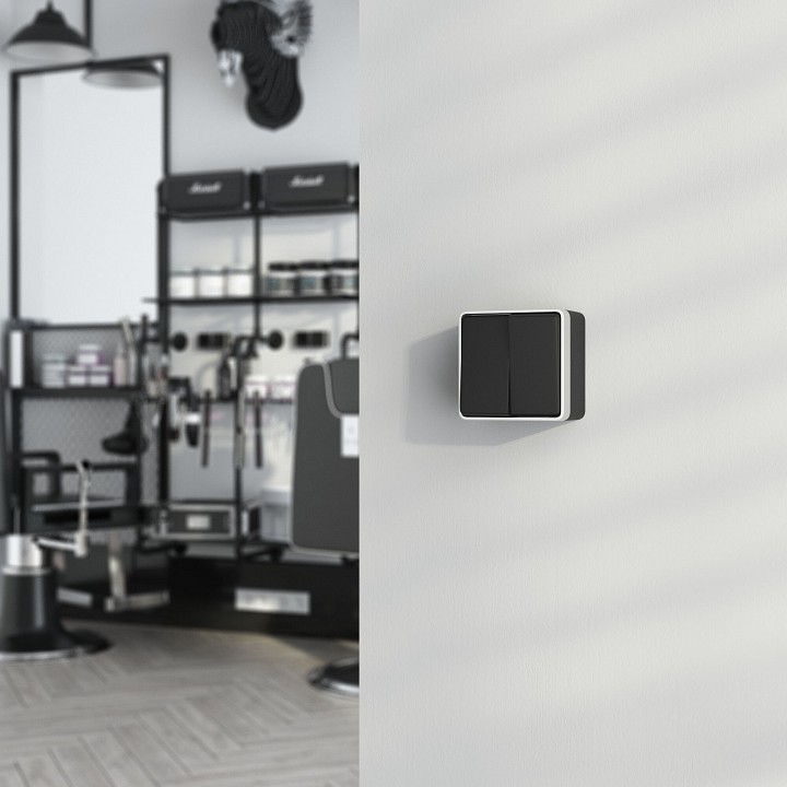 Выключатель двухклавишный влагозащищенный Werkel Gallant (черный с серебром) W5020234