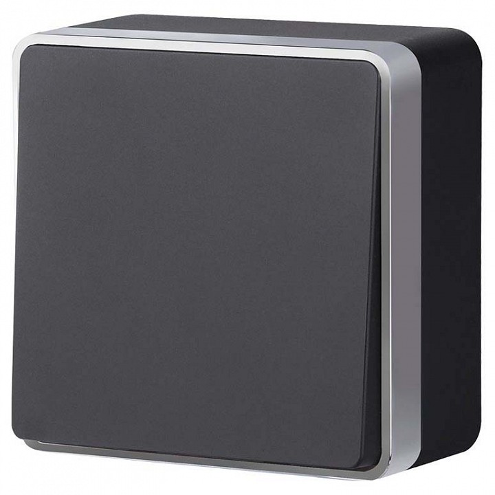 Выключатель одноклавишный Werkel Gallant (черный с серебром) W5010034