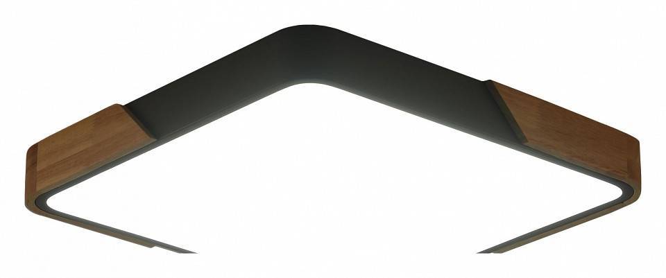 Светильник накладной Zortes ALBERRO ZRS.01288.60