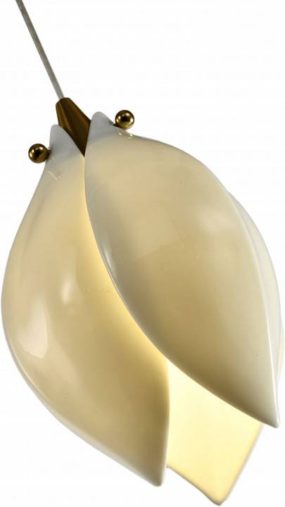 Подвесной светильник Zortes DALIN ZRS.90609.01