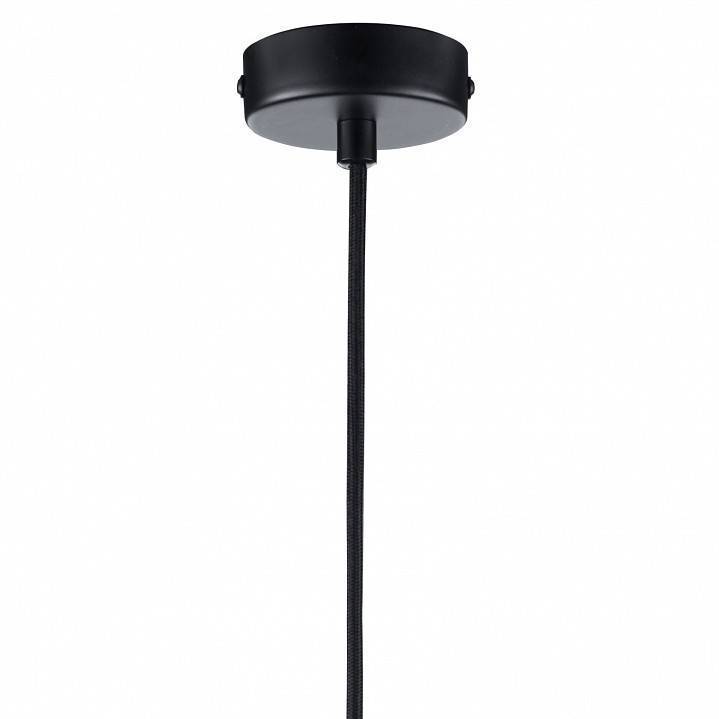 Подвесной светильник 33 идеи PND151.01.03.003.BL-M29TR