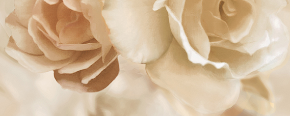 Панно Ceradim Rosario B 20х50 см КПН17RosarioB